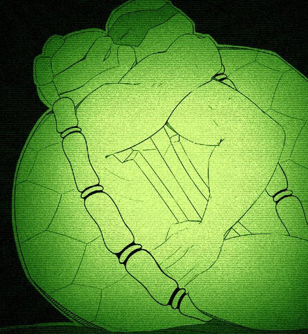 Collaboration with Renegadebleat! Donnie and Mikey are kissing in the dark, drawn as if caught by a Nightvision camera.